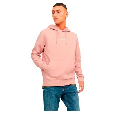 Jack & Jones Bluarchie Hoodie