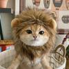 Funny Pet Costumes, Cats And Dogs Transformed Into Funny Holiday Costumes, Wild Hats And Headgear
