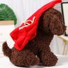Little Dog Plush Toys, Dog Dolls, Teddy Dog Dolls, Cute Little Animal Dolls on The Bed