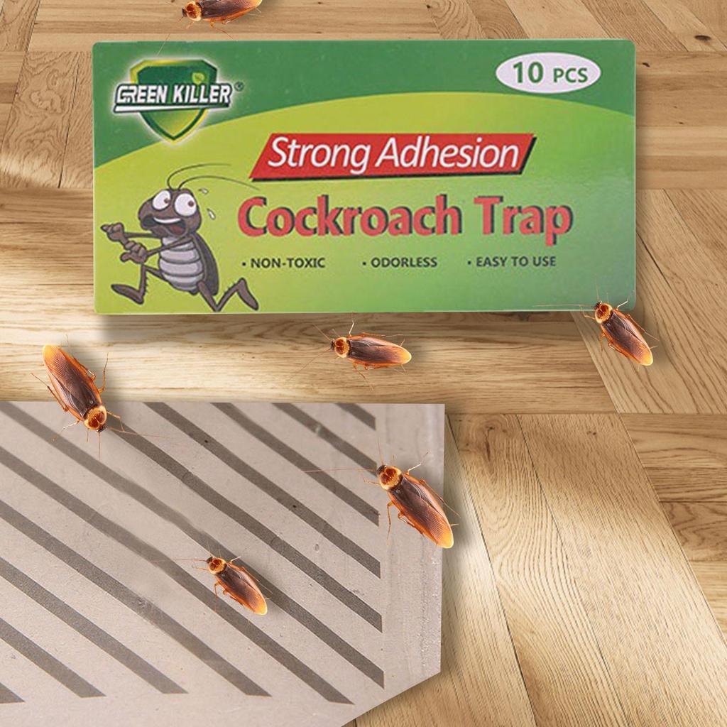 Household Kitchen Cockroach Medicines Cockroach Killers Cockroach Gel Decoy Cockroach Trap