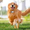 Pet Collar Camera 4K 30FPS HD Wireless Wide Angle Magnetic   Recording Wearable Small Action Camera with Back Clip for Outdoor Sports