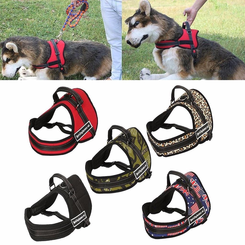 multi function leash