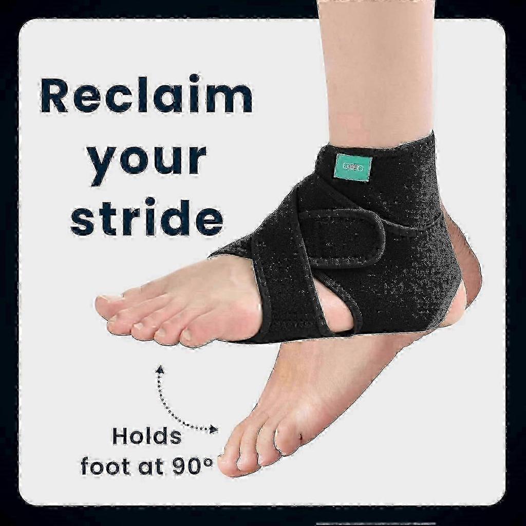Verbesserte Fußheberorthese zum Gehen mit Schuhen - Doppelte Vorfußstützplatten, verstellbar, stabilisiert die unteren Gliedmaßen bei Fußheber, MS, TBI, 1 Paar