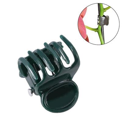 Kunststoff Mini Stiele Blumengartenwerkzeuge Stielklemmen Aufrecht Wachsen Orchideengarten Stielklemmen Orchideenclip Kunststoff Orchideenclip