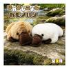 Koyoshi Nakayoshi Platypus Plush Toy Big 2 Types Approx. 40cm (Brown)