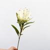 Floral Display Artificial Emperor Protea Flowers Large Faux Thistle Flowers  Wedding Decoration