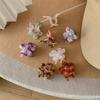 Korean Cute Acetate Flower Hair Clip for Women - French Style Simple Bangs & Half Ponytail Accessory