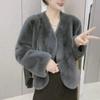 Imitation Mink Velvet V-neck Jacket Women's Autumn and Winter Soft Waxy Lazy Loose Thick Short Top