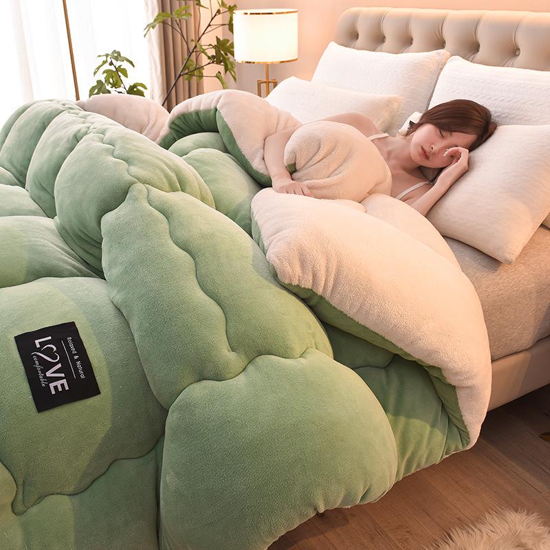 Thickened Winter Lambswool Cotton Quilt: Cozy Dormitory Milk Velvet Duvet