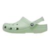 Crocs Classic Clog Unisex Clogs Cream-Green 10001-3VS