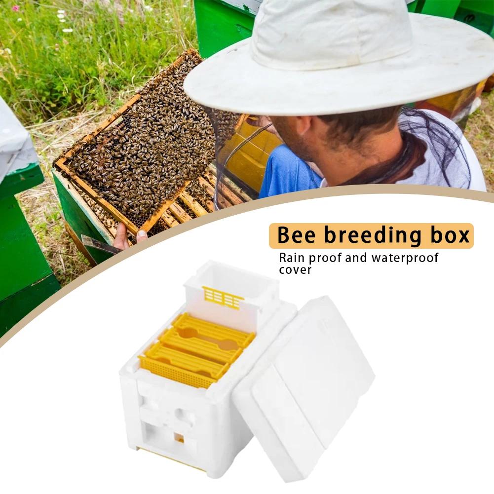 Beehive Beekeeping Box Tools For Beekeeper Supplies Bee Hive Frame Holder Equipment Kit Beehive Pollination King Bees Hive Box