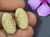 Natural Picture Jasper Matched Pair Designer Gemstone Loose Cabochon 11X20MM SK-670