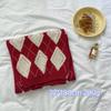 [Dai Green] New atmosphere Christmas red grid soft waxy matching gift scarf high-end style fashion scarf