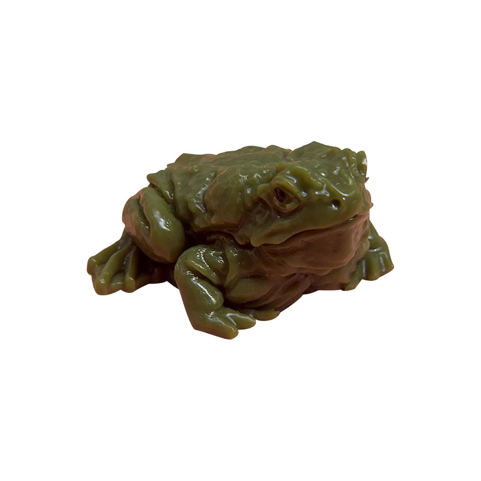 

Лягушки , Игрушка, Медленная , Игрушка, Игрушка для снятия стресса, Сложные симуляционные лягушки One Size зелёный