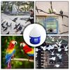 Pigeon Feeder 2L Large Bird Drinker Removable Spill-Proof Pigeon Waterer for Outdoor Bird Cage Hydration Duck Keeping Brooder