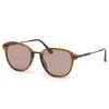 Bunny Walk Polarized Sunglasses Brown Demi with Lenses BW-022 BW-0222C HC-BROWN Pop-Up