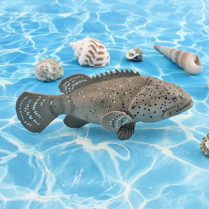 Sea Epinephelus Anglerfish Animal Fish Model Desktop Decor Display Collector