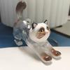 Keychain Pendant Transparent Cat Design Pet Hair Storage Box Key Chain Pet Hair Pendant Keyring Hair Storage Bottle Keychain