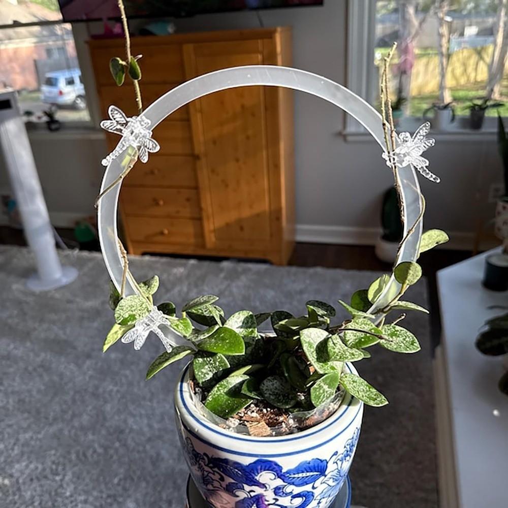 Weather-resistant Acrylic Plant Bracket Transparent Plants Growth Stand  Indoor Plants