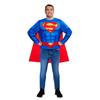 SUPERMAN Mens Logo Costume Top