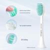 Philips Sonic Electric Toothbrush CN Plug (adapter Included)