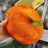 Cute Orange Berets Creative Painter Hat Fashion Tomato Cap  Street