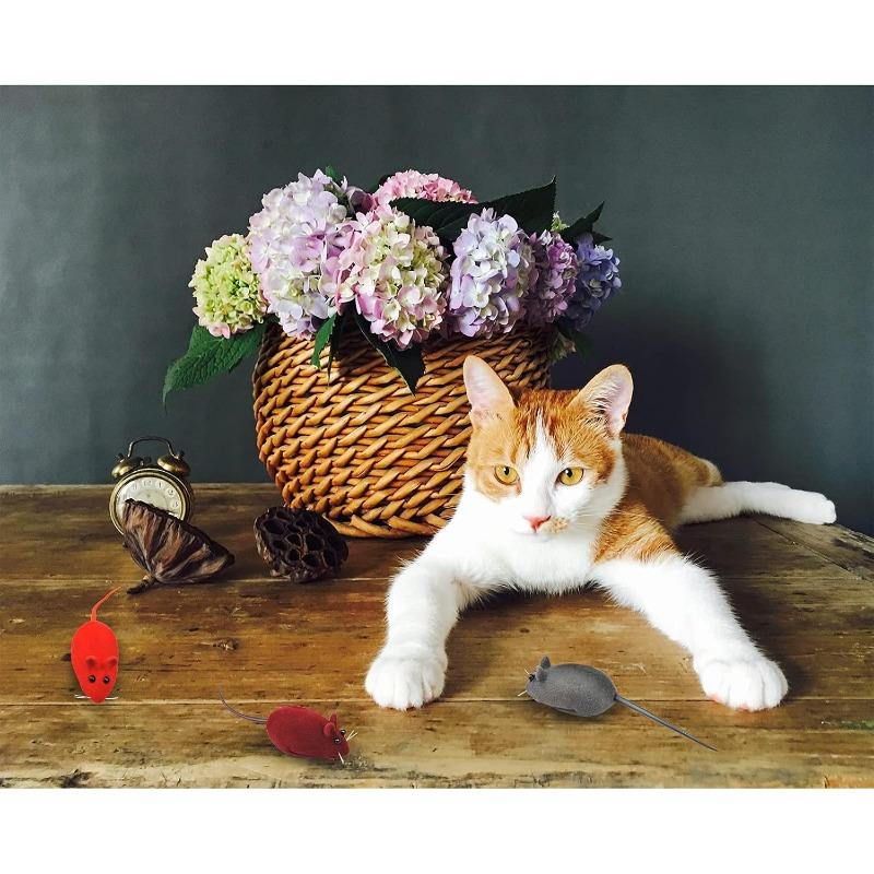 Interactive Sound Plush Rubber Vinyl Mouse Pet Cat Realistic Sound Toys Flocking Mouse Funny Cat multi-Colors Pet Toys