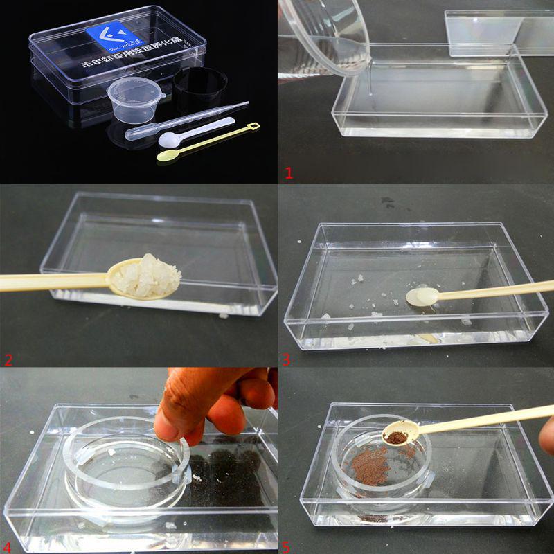 brine shrimp kit
