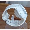 Used Casio Baby-G BGA-170