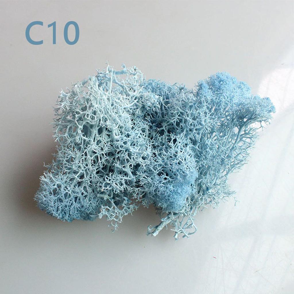 Decor Christmas Wedding Decoration Artificial Plant Reindeer Moss Micro Landscape Eternal Life Moss