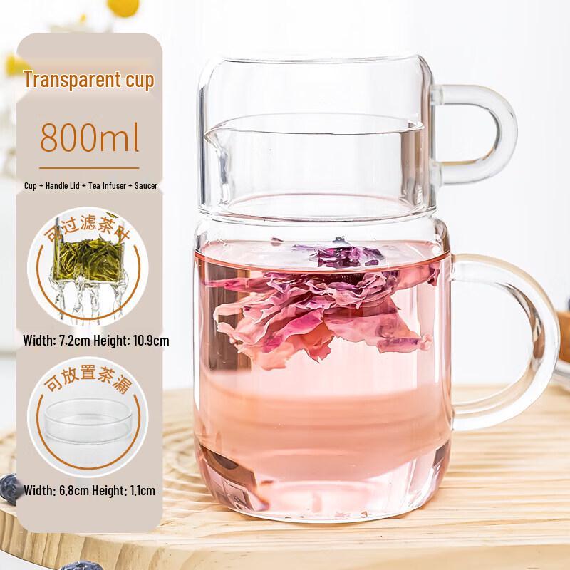800ml High Borosilicate Glass Tea & Coffee Bottle with Infuser