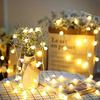 SFOUR Fairy Light Decorative LED Illumination 6M 40 Pieces Battery Operated Christmas Decoration Tree Bulbs Outdoor Waterproof Indoor Suitable Bedroom
