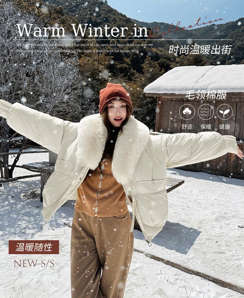 European and American cotton clothes winter women's down cotton clothes trendy personalized street big fur collar short hooded cotton-padded jacket