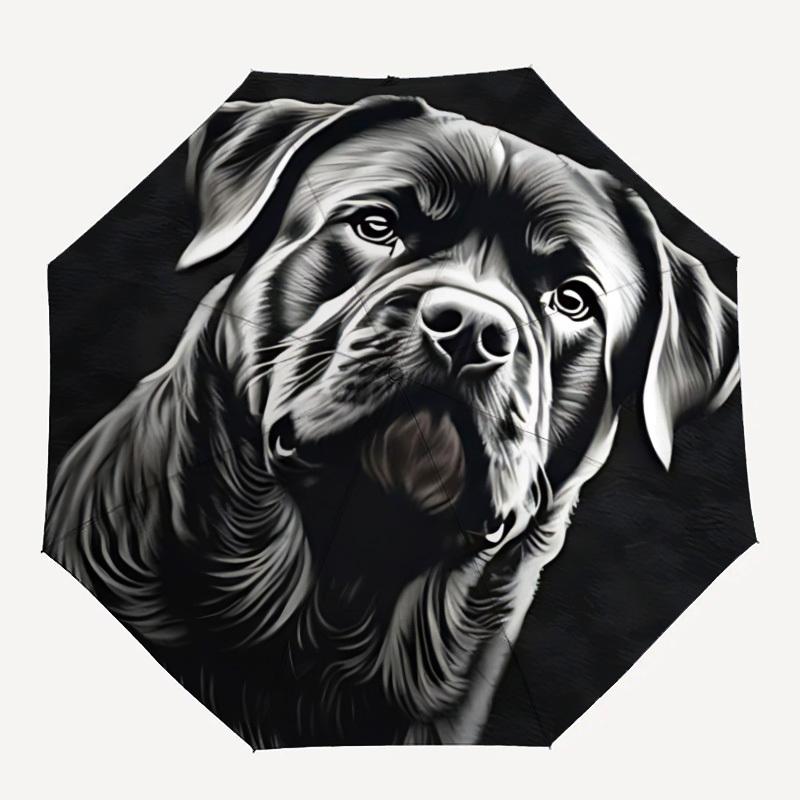 

1pc Dog Pet Black Automatic Folding Umbrella, Sturdy And Durable Automatic Folding Umbrella with 8 Ribs, Convenient for Outdoor Use156