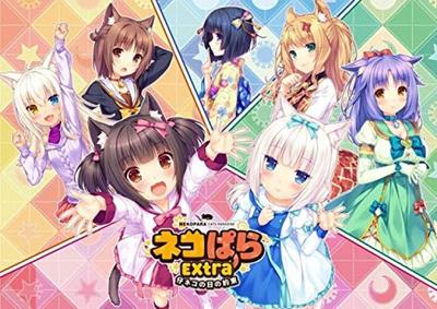 Nekopara Extra Kitten Day Promise Edition with Art Book Art Game Version Download OVA Anime Download (36P Book, Card, Card)