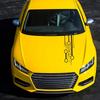 Accesorii de exterior – Autocolante pentru auto