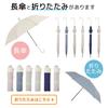 ogawa Women's Long Umbrella, Large, Durable, Jump-Style, 60cm, Linedrops, Striped, Pink Beige, Grosgrain Tape, Water-Repellent, 57386