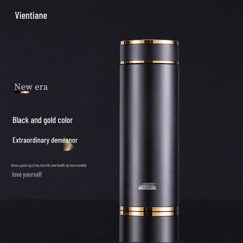 Wanxiang Insulated Tea Infuser Bottle