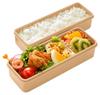 Skater Bento 2 mit Silikon-Innenfach Schlanke Lunchbox Mein Nachbar Hergestellt in Japan SSLW6 Box, Etage, Deckel, 630ml, Box, Totoro, Aquarell, Ghibli,