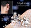 S925 Silver Korean Snowflake Zircon Stud Earrings for Women - Elegant, Simple Design, Ideal Christmas Gift.