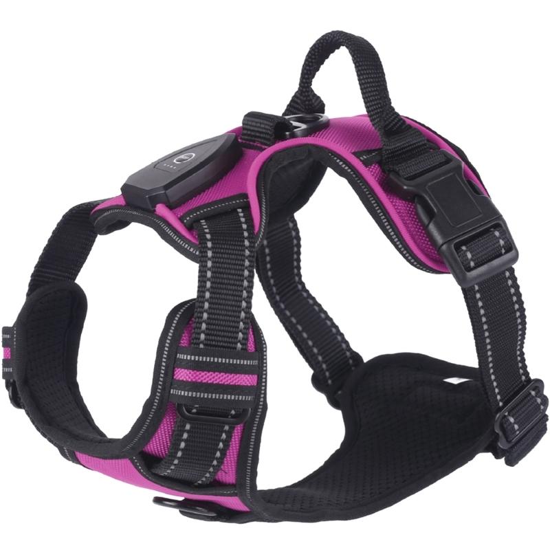 Mode Hunde Geschirr Leine Verstellbare Länge Haustier Brust Rücken LED Hunde Weste mit Robuster Schnalle für Haustier Outdoor Spaziergänge