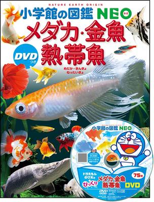 Medaka, Goldfish, and Tropical Fish (with DVD) (Shogakukan's NEO Encyclopedia)