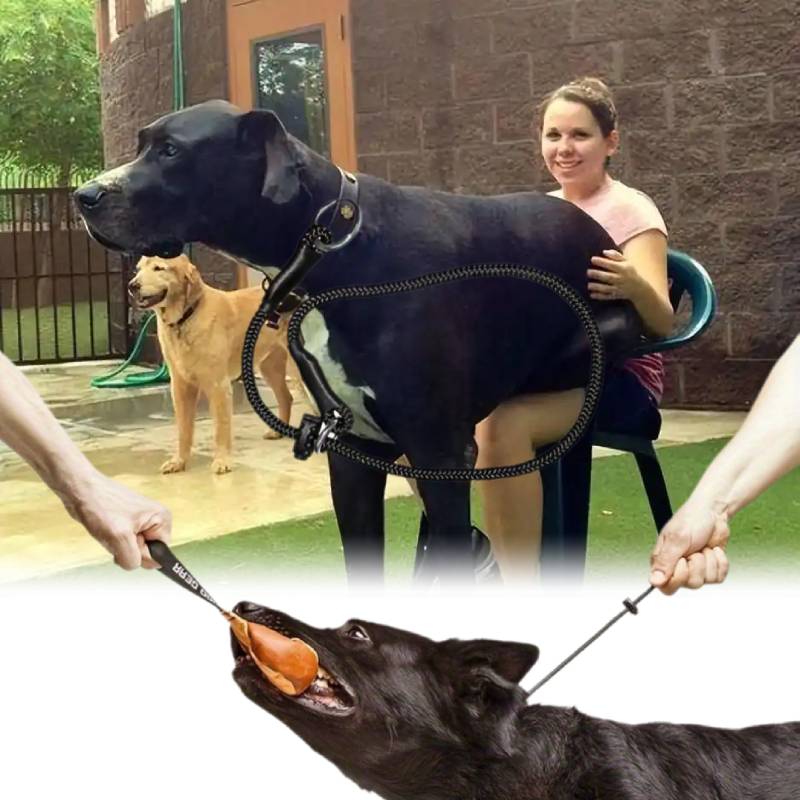 Dingo Gear Choke Collar Dog Training Handmade Cord Limiter Waterproof Dogs Large