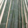 Moso Bamboo Slats for Greenhouse, Shed, and Garden Fencing