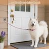 Multi-functional Wall Mount Holder 316 Stainless Steel Dogs Leash Hook Wall Hooks  Outdoor