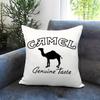Luxury C-Camel Cushion Cover Comfortable Reversible Pillow Cover Ideal For Car Sofa Bedroom & Beyond