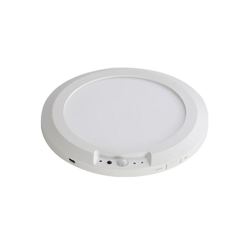 Dream Bubble Motion Sensor Rechargeable Ceiling Light