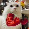 Cat Muscle Arm Costume Funny Cat Neck Arm with Muscle 3D Printed Cat Arm Prop for Parties Photos Entertainment