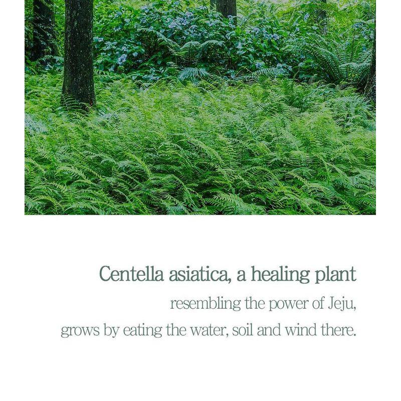 Pretty Skin - The Pure Jeju Cica Cleansing Foam