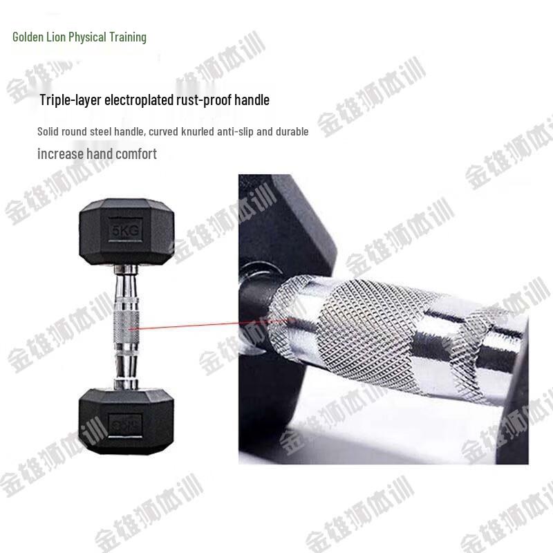Golden Lion Hex Rubber Dumbbell